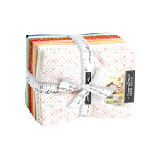 Load image into Gallery viewer, EYELET- 20488JR - Jelly Roll - Strip Set - by Fig Tree - Classic Small Prints