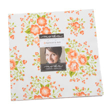 Load image into Gallery viewer, Bella Solids - Etchings Slate #9900-170 - ONE HALF YARD - Coordinates w/Apricot & Ash