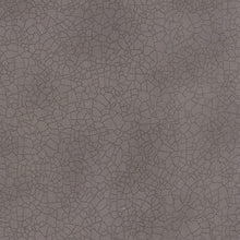 Load image into Gallery viewer, CRACKLE - SLATE - Gray - Grey - 1/2 Yard - #5746-115 - by Kathy Schmitz - Solids - Modern - Mommy & Me