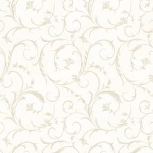 Load image into Gallery viewer, MAYWOOD - Beautiful Backing - #QB100M-N - Royal Blue with Navy Scrolls - Wide Backing 108" - 110" - One Yard