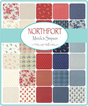Load image into Gallery viewer, NORTHPORT - Silky Wovens - #12215-12 - Light Blue Check - One Half Yard - Minick & Simpson - Moda - Blue - Cream