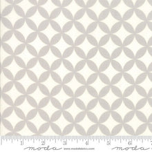 Load image into Gallery viewer, Bonnie & Camille BASICS - Scrumptious Berries Red - #55074-31 - Aqua - Red - White - Modern - Metro - Little Ruby