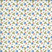 Load image into Gallery viewer, HARBOR SPRINGS - #14902-11 - Cherries - Red/White/Blue/Green - One Half Yard - Minick & Simpson - Moda - Reproduction