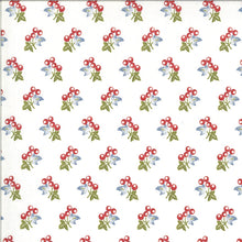 Load image into Gallery viewer, HARBOR SPRINGS - #14902-11 - Cherries - Red/White/Blue/Green - One Half Yard - Minick & Simpson - Moda - Reproduction