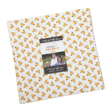 Load image into Gallery viewer, SPRING CHICKEN - #55526-11 - Stripes - Multi - by Sweetwater - One Half Yard - Chickens - Novelty - Multi color - Circles - Striped