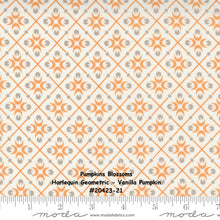 Load image into Gallery viewer, PUMPKINS and BLOSSOMS - #20423-21 - Vanilla Pumpkin - Off White-Orange - Harlequin Geometric - Fig Tree -One Half Yard - Backing - Borders