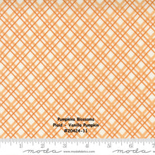 Load image into Gallery viewer, PUMPKINS and BLOSSOMS - #20423-21 - Vanilla Pumpkin - Off White-Orange - Harlequin Geometric - Fig Tree -One Half Yard - Backing - Borders