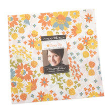 Load image into Gallery viewer, COZY UP - Honey Bun - #29120 - by Corey Yoder for Moda - Autumn - Rich Yellows, Oranges, Greens, Grays, and Teal - Checks - Floral