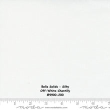 Load image into Gallery viewer, Bella Solids - ETCHINGS SLATE - 1/2 YARD - #9900-170 - Dark Gray - Solids - Modern - Apricot & Ash - Corey Yoder