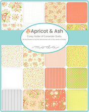 Load image into Gallery viewer, Bella Solids - PALE PINK - 1/2 YARD - #9900-26 - Solids - Modern - Apricot & Ash - Corey Yoder