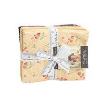 Load image into Gallery viewer, Fresh Fig Favorites - 20410ABN - Fat Quarter Bundle - 18 skus - by Fig Tree -