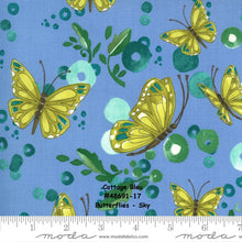 Load image into Gallery viewer, Cottage Bleu - 48691-17 - Butterflies - Sky - ONE HALF YARD - by Robin Pickens for Moda - Modern - Butterfly Print - Blue