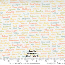 Load image into Gallery viewer, COZY UP - #29120-17 - Blue Skies - Large Floral - by Corey Yoder for Moda - Autumn - Rich Yellows, Oranges, Greens, Grays, and Teal - Checks