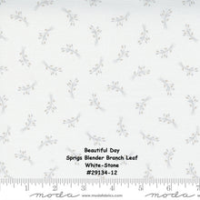 Load image into Gallery viewer, BEAUTIFUL DAY - #29135-11 - Ticker Tape Stripe Numbers - Multi Stripe - Coriander Quilts - Moda - One Half Yard