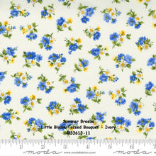 Load image into Gallery viewer, SUMMER BREEZE 2021 - Little Bloom-Tossed Bouquet - Sky Multi - 33613-15 -One Half Yard - by Moda - Classic - Blue -Yellow - Floral-Backing