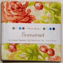 Load image into Gallery viewer, PATTERN: Jelly Roll & Charm Pack - STARFISH by Fig Tree