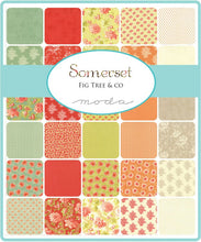 Load image into Gallery viewer, PATTERN: Jelly Roll & Charm Pack - STARFISH by Fig Tree