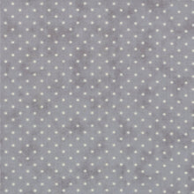 Load image into Gallery viewer, Yardage: ESSENTIAL DOTS - SILVER - One Half Yard - #8654-121 - Moda - Modern - Blender