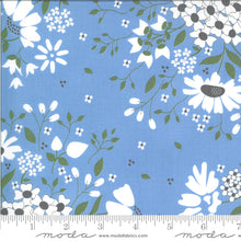 Load image into Gallery viewer, Spring Brook - by Corey Yoder for Moda - 29110 - HONEY BUN - Gray - Blue - Yellow