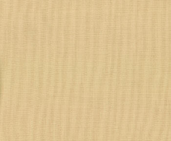 Bella Solids -  #9900-13 - Tan - ONE HALF YARD - Reproduction - Civil War