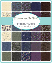 Load image into Gallery viewer, PATTERN:  Skipped Stones (Moose Trax)  - AQD0101 - Doug Leko by Antler Quilt Designs - Summer on the Pond
