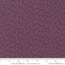 Load image into Gallery viewer, EVELYN&#39;S HOMESTEAD - Repro Ragged Robin Natural - Porcelain - #31561-12 - 1/2 Yard - by Betsy Chutchian for Moda - Reproduction - Shirtings
