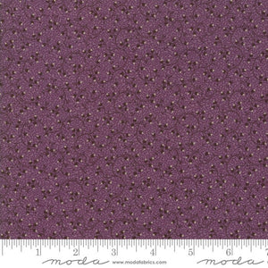EVELYN'S HOMESTEAD - Repro Ragged Robin Natural - Porcelain - #31561-12 - 1/2 Yard - by Betsy Chutchian for Moda - Reproduction - Shirtings
