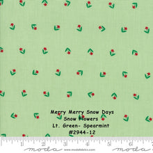 Load image into Gallery viewer, MERRY MERRY SNOW Days - #2944-12 - Snow Flowers - Light Green - Spearmint - 1/2 Yard -Bunny Hill Designs for Moda -Christmas- Holiday-Winter
