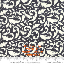Load image into Gallery viewer, All Hallow&#39;s Eve - #20354-15 - Polka Dot Circles - Fog - Grey - ONE HALF YARD - by Fig Tree - Halloween - Small Print - Background - Neutral
