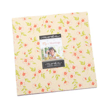 Load image into Gallery viewer, Figs &amp; Shirtings - 20390 - Jelly Roll - 2.5&quot; x wof Strips - by Fig Tree - Shirtings - Small Prints - 1930&#39;s prints - Vintage - Figgy Colors
