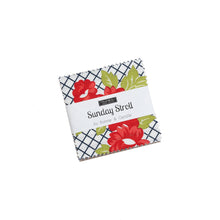 Load image into Gallery viewer, Sunday Stroll - Bonnie &amp; Camille - 55220 PP - Charm Pack - for Moda - Modern - Prints - Thimbleblossoms

