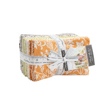 Load image into Gallery viewer, PUMPKINS and BLOSSOMS - by Fig Tree - 20420 -Fat Quarter Bundle - 38 skus- Halloween - Autumn - Orange - Black - Cream -Grey -Green
