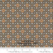 Load image into Gallery viewer, PUMPKINS and BLOSSOMS - #20423-17 - Pebble - Grey - Harlequin Geometric - Fig Tree - One Half Yard - Orange - Backing - Borders
