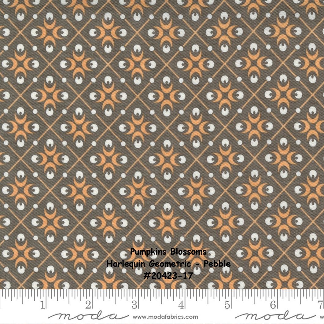 PUMPKINS and BLOSSOMS - #20423-17 - Pebble - Grey - Harlequin Geometric - Fig Tree - One Half Yard - Orange - Backing - Borders