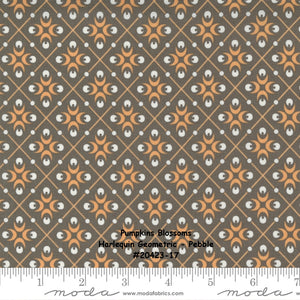 PUMPKINS and BLOSSOMS - #20424-11 - Pumpkin - Off White-Orange - Plaid Bias Check - Fig Tree - One Half Yard - Binding - Borders