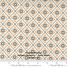 Load image into Gallery viewer, PUMPKINS and BLOSSOMS - #20423-17 - Pebble - Grey - Harlequin Geometric - Fig Tree - One Half Yard - Orange - Backing - Borders

