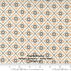 PUMPKINS and BLOSSOMS - #20423-17 - Pebble - Grey - Harlequin Geometric - Fig Tree - One Half Yard - Orange - Backing - Borders