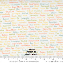 Load image into Gallery viewer, COZY UP - #29124-11 - Cloud - Words - Multi Color - by Corey Yoder for Moda -Autumn - Neutral - Low Volume - Great Background
