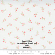 Load image into Gallery viewer, BEAUTIFUL DAY - #29135-11 - Ticker Tape Stripe Numbers - Multi Stripe - Coriander Quilts - Moda - One Half Yard
