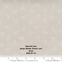 Load image into Gallery viewer, BEAUTIFUL DAY - #29134-24- Sprigs Blender Branch Leaf - Slate - Dark Grey - Coriander Quilts - Moda - One Half Yard
