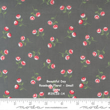 Load image into Gallery viewer, BEAUTIFUL DAY - #29131-14 - Wild Rose Floral - Medium Floral Print - Slate - Dark Grey - Coriander Quilts - Moda - One Half Yard
