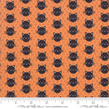 Load image into Gallery viewer, Midnight Magic - Kitty Kitty - Black Cats on Grey - #24083-13 - One Half Yard - Mask

