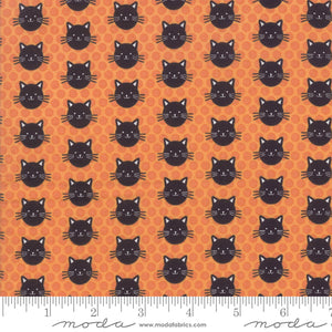 Midnight Magic - Kitty Kitty - Black Cats on Grey - #24083-13 - One Half Yard - Mask