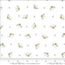 Load image into Gallery viewer, Spring Brook - by Corey Yoder for Moda - 29110 - HONEY BUN - Gray - Blue - Yellow

