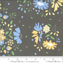 Load image into Gallery viewer, Spring Brook - by Corey Yoder for Moda - 29110 - HONEY BUN - Gray - Blue - Yellow
